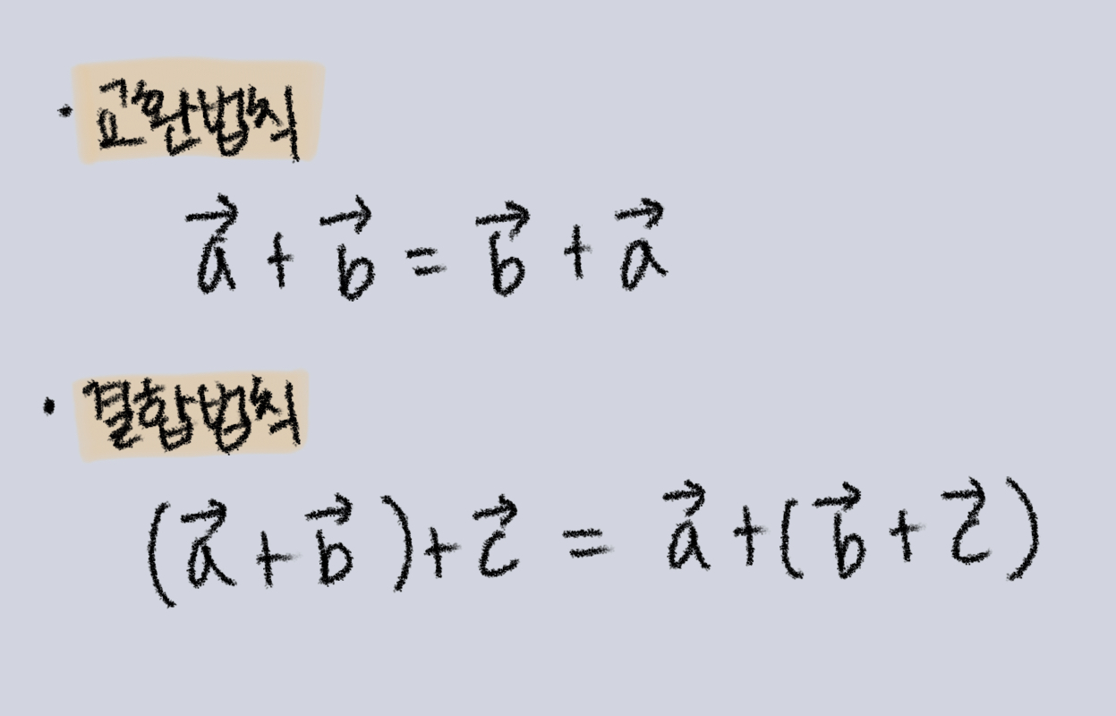 VectorLaw